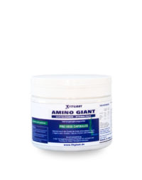 Fitgiant Aminogiant