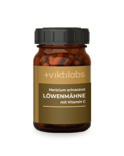 Löwenmähne Vitalpilz